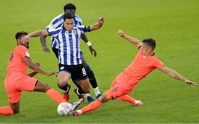 杨振宁在全世界的地位